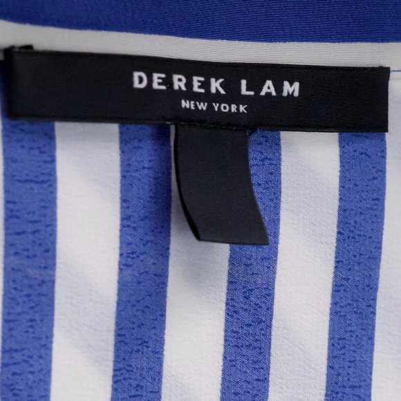 Derek Lam 10 Crosby White and Blue Striped Silk Lace-Inset Layered Blouse - Picture 5 of 11